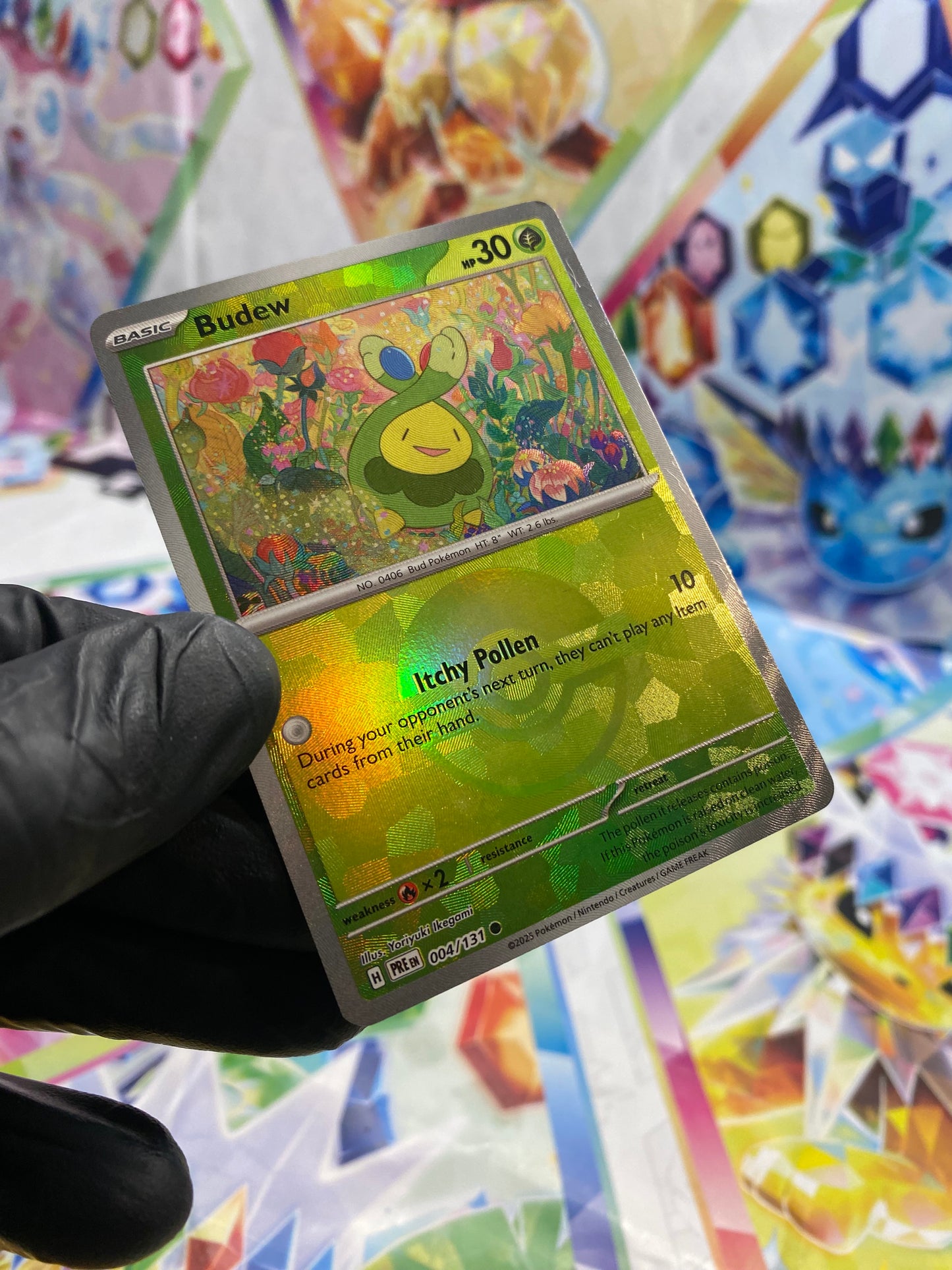 Pokémon Budew Pokéball #004 (PRE) - NM/M