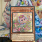 Yu-Gi-Oh! Mulcharmy Meowls (SUDA-EN025) - NM/M