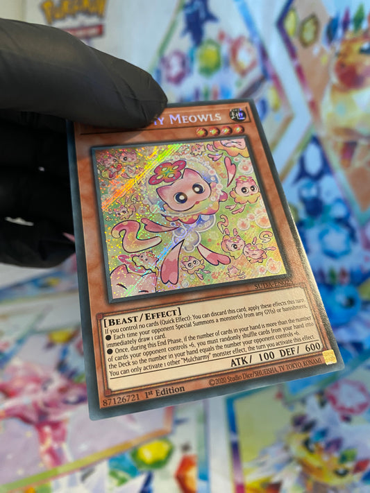 Yu-Gi-Oh! Mulcharmy Meowls (SUDA-EN025) - NM/M