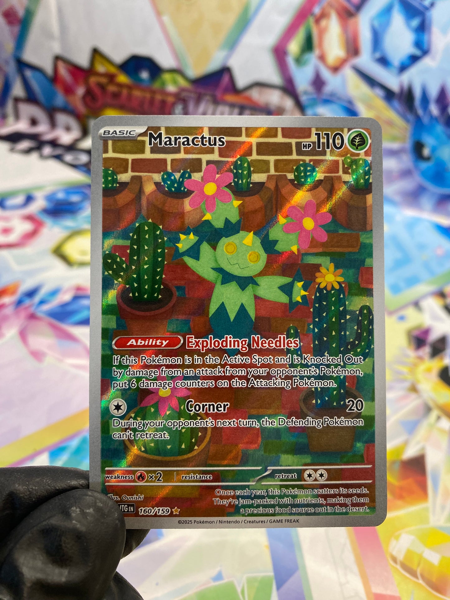 Pokémon Maractus #160 (JTG) - NM/M
