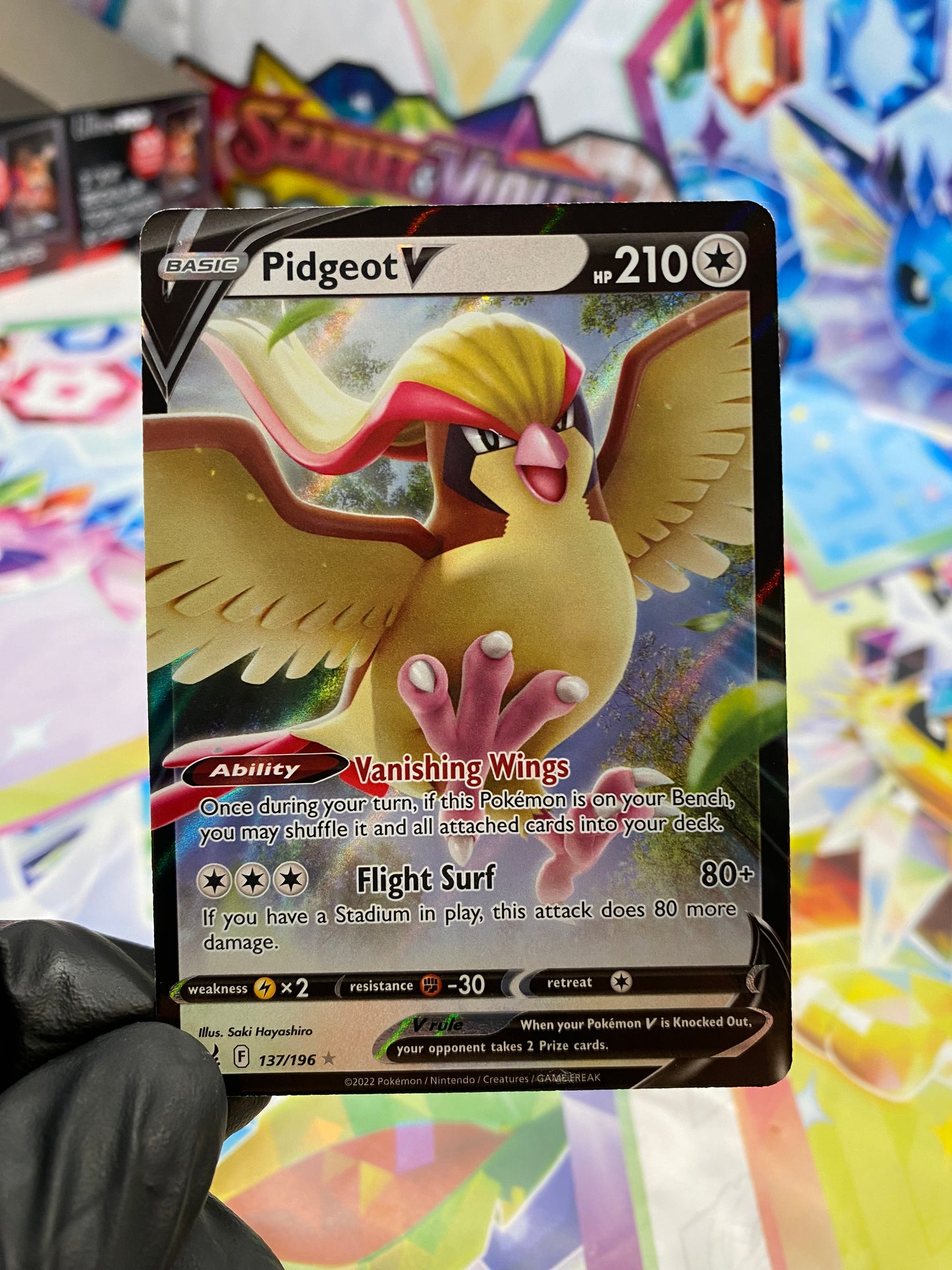 Pokémon Pidgeot V #137 - NM/M