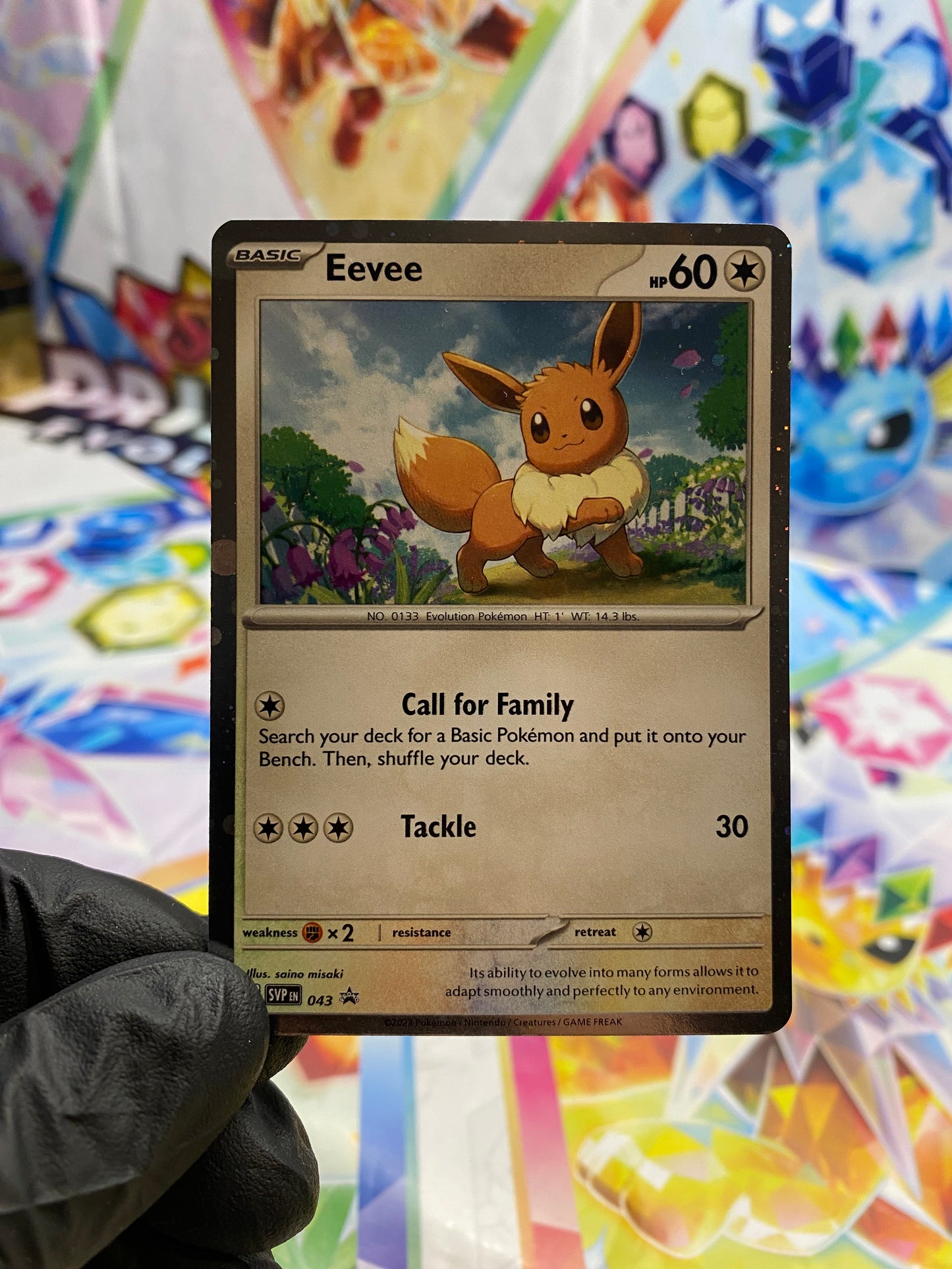 Pokémon Eevee #043 Promo - NM