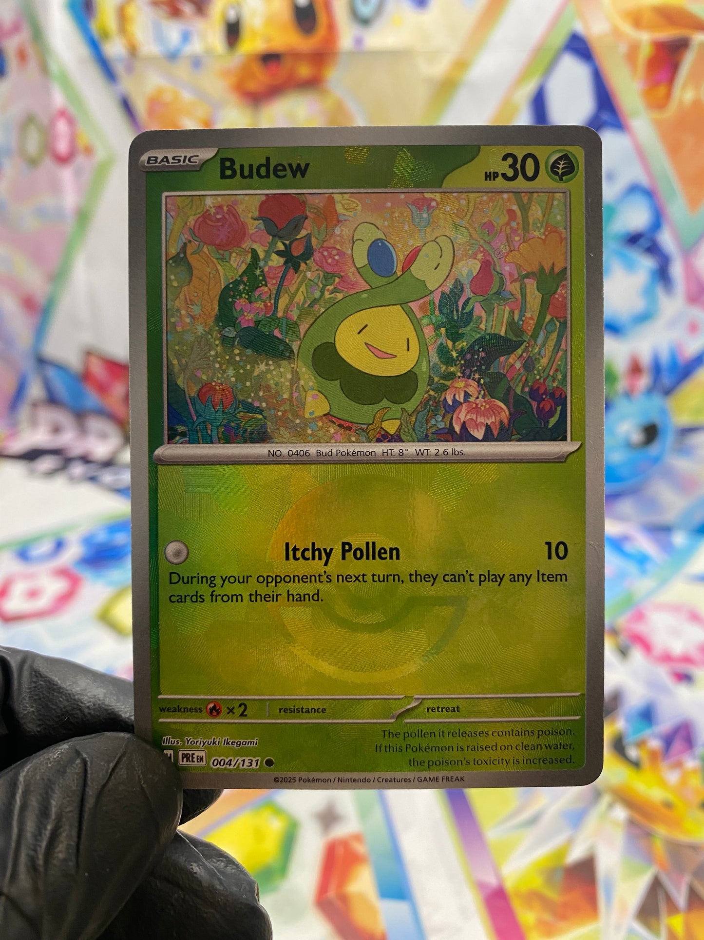 Pokémon Budew Pokéball #004 (PRE) - NM/M