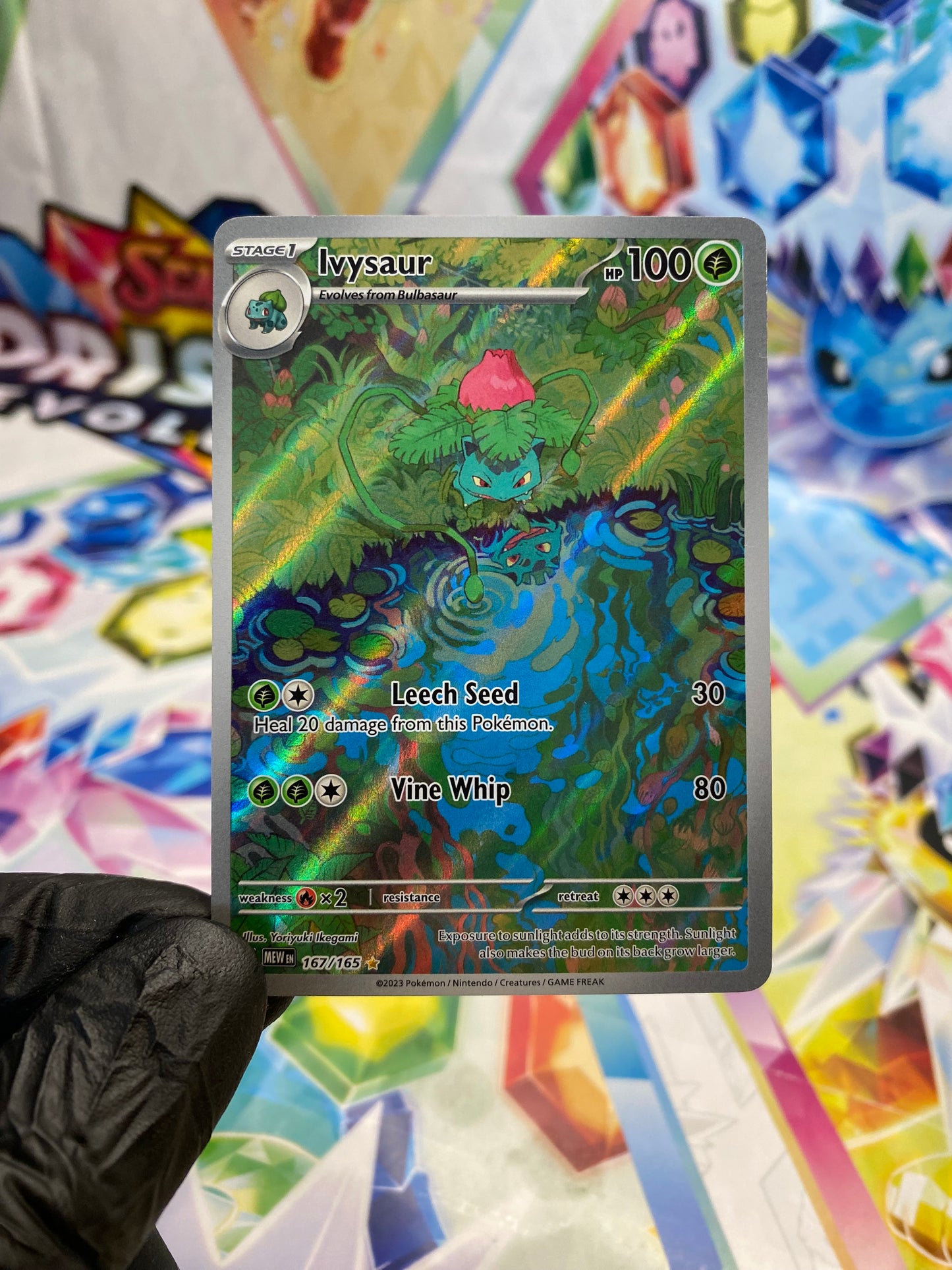 Pokémon Ivysaur #167 (151) - NM/M