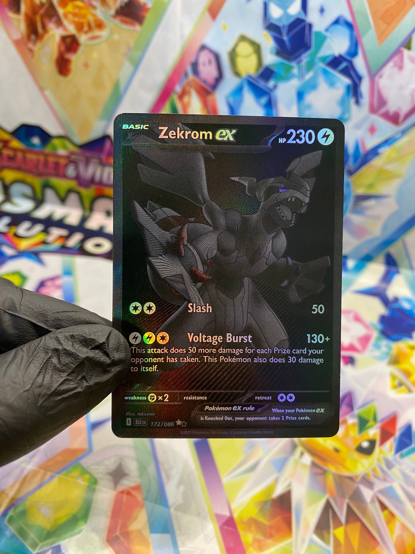 Pokémon Zekrom Ex #172 (BLK) - NM