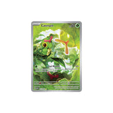 Pokémon Caterpie #172 (151) - NM/M