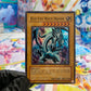 Yu-Gi-Oh! Blue-Eyes White Dragon (SKE-001) - GOOD