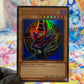 Yu-Gi-Oh! Dark Magician (LOB-EN005) - NM