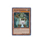 Yu-Gi-Oh! Sylvan Guardioak (LVAL-EN019) - GOOD